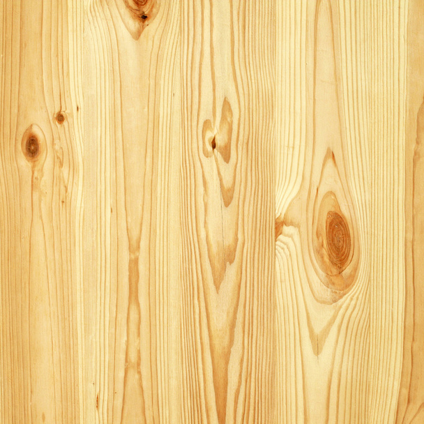 Pine tree wall texture - Zdjęcie, obraz