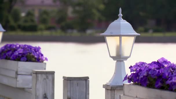 Linterna blanca y dos violetas con flores en el día de verano. Agua en el fondo
. - Imágenes, Vídeo