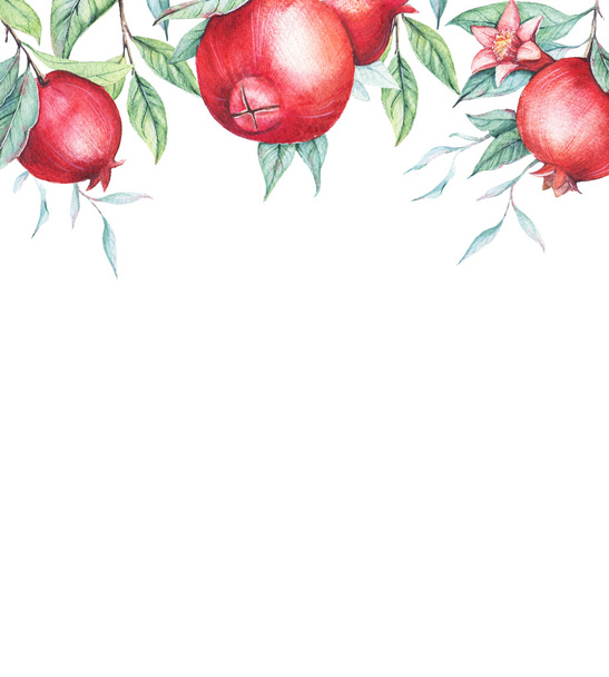 Hand drawn watercolor border with botanical illustration of pomegranate branch with green leaves isolated on white. - Fotografie, Obrázek