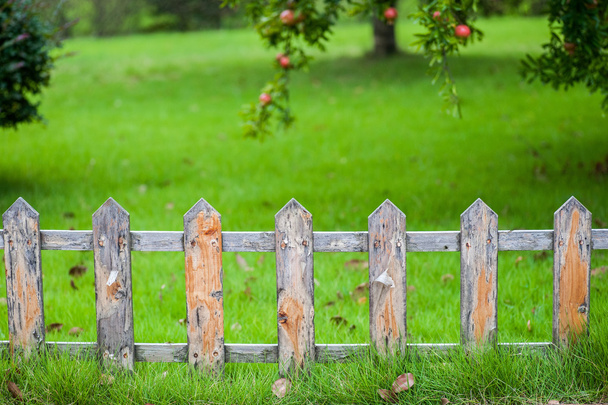 Oude kleine hek op het groene gazon in de tuin - Foto, afbeelding