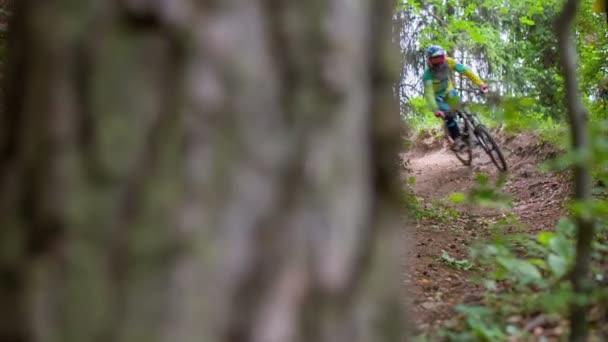 downhill bike ride  - Footage, Video