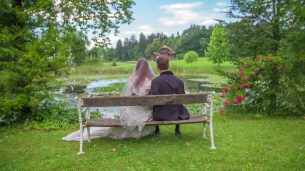  παντρεμένο ζευγάρι είναι να κάθεται  - Πλάνα, βίντεο