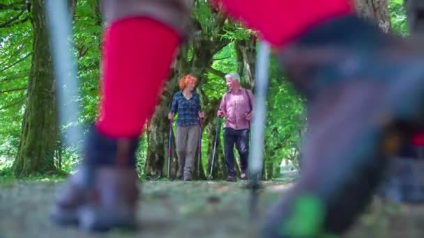 Ältere Wanderer begrüßen sich  - Filmmaterial, Video