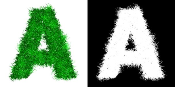 zielone litery wykonane z trawy - z maską alfa - Zdjęcie, obraz