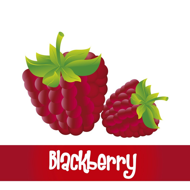 Blackberry aislado
 - Vector, Imagen