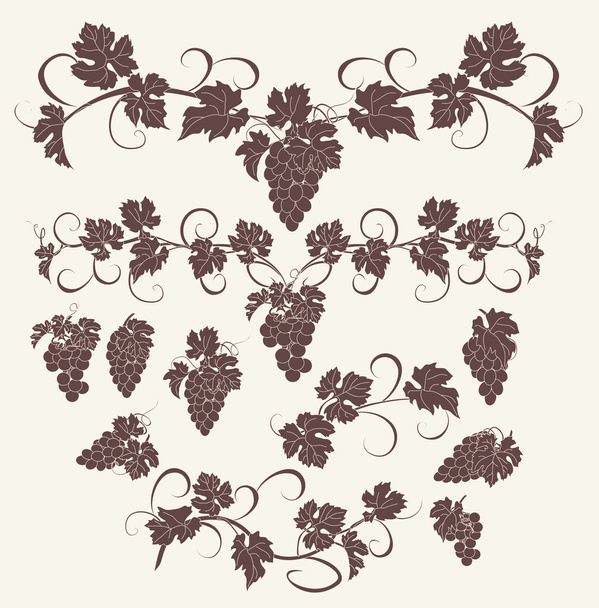 Eléments de design vectoriel dans un style vintage avec vignes
. - Vecteur, image