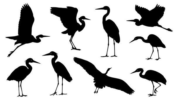 verschillende heron silhouetten - Vector, afbeelding