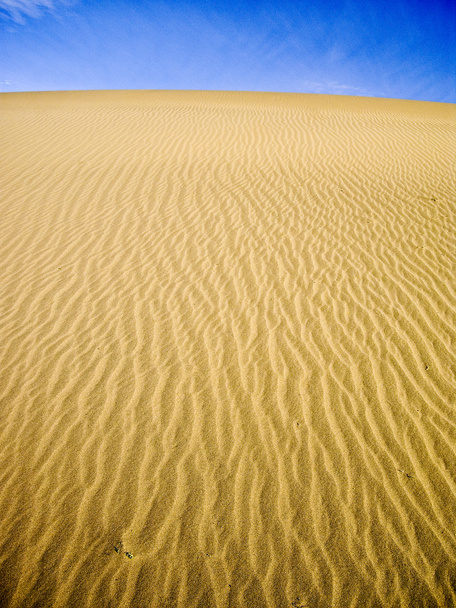 žluté duny na modré obloze - Fotografie, Obrázek