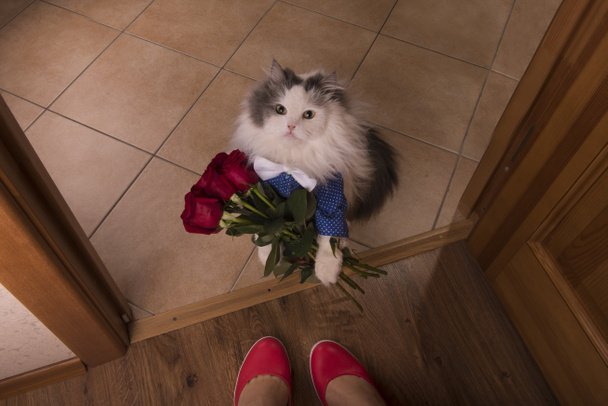 macska ajándékba hozni a rózsák anyja - Fotó, kép