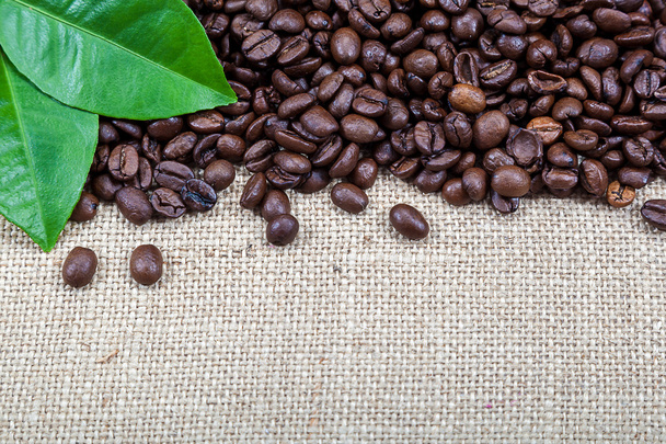 Coffee beans with green leaves on canvas. - Foto, immagini