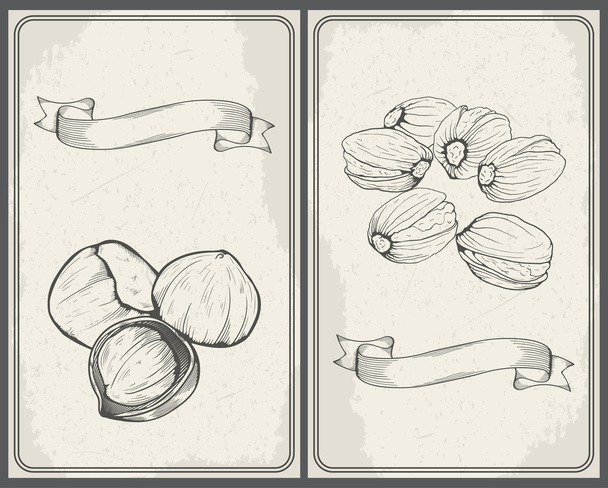 Set of nuts: Hazelnuts and Pistachios. Hand drawn sketches vector illustration in vintage style. - Вектор,изображение