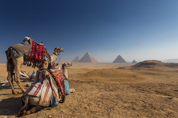 エジプトだ。カイロ-ギザ。ピラミッドの全体像  - 写真・画像