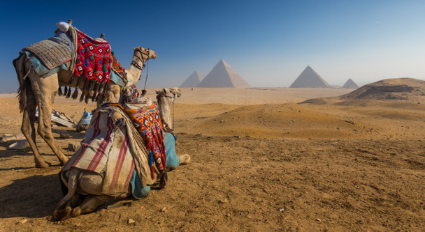 Egypte. Cairo - Gizeh. Algemeen beeld van de piramides van de Giza Plat - Foto, afbeelding
