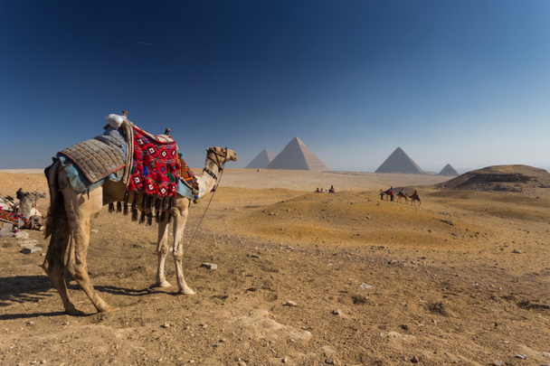 Egypte. Caïro - Gizeh. Algemeen zicht op piramides  - Foto, afbeelding