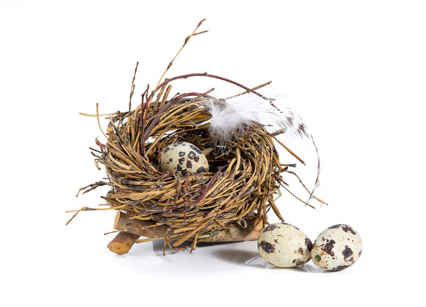 kwarteleitjes in een nest op een witte achtergrond - Foto, afbeelding