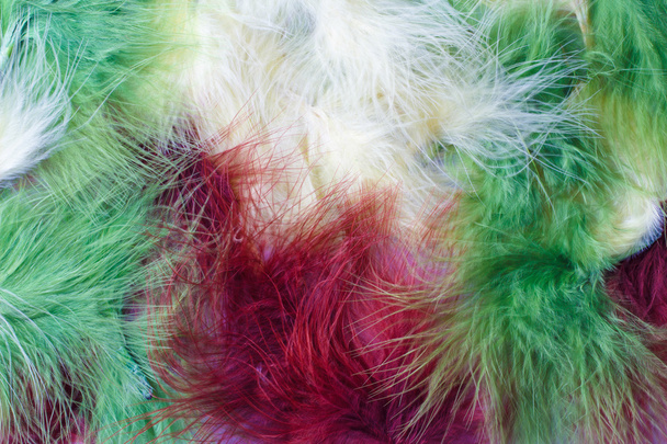 background of colorful bright feathers - Photo, Image