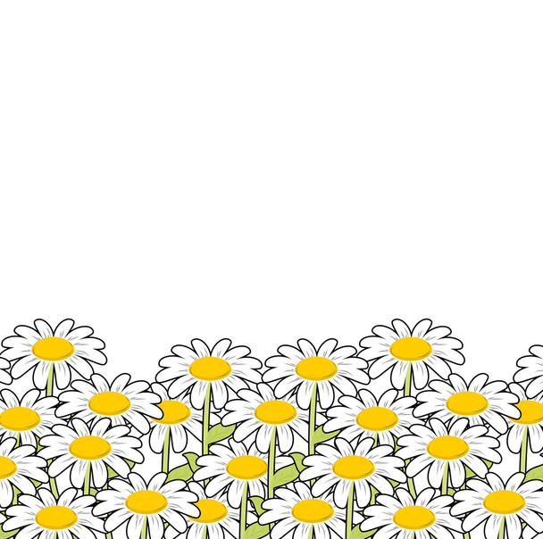 Chamomile. White flowers summer meadow. Beautiful wild flowers.  - Vector, Image