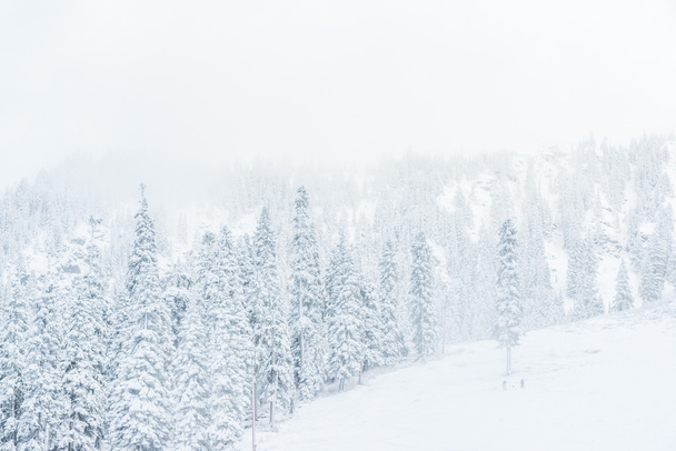 schilderachtig uitzicht op kleine mensen wandelen in de sneeuw berg.. - Foto, afbeelding