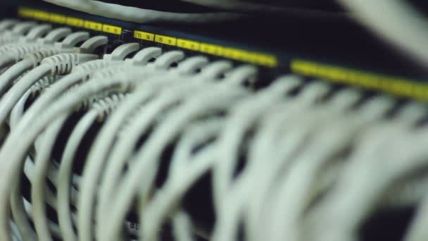 Cables de Internet conectados en el hub de red
. - Imágenes, Vídeo