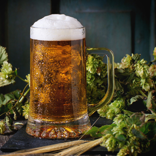 Kufelek piwa lager - Zdjęcie, obraz