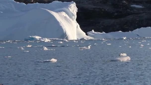 Morze lodu pływającego - Materiał filmowy, wideo