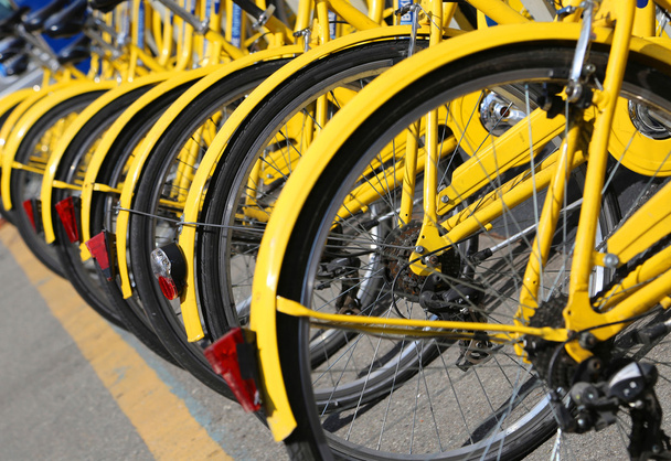 велосипеди в магазині міського велосипедного відділення для переїзду в екологію
 - Фото, зображення