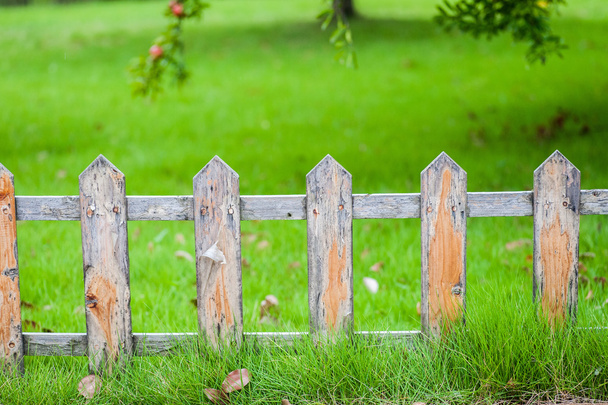 Старий маленький паркан на зеленому газоні в саду
 - Фото, зображення