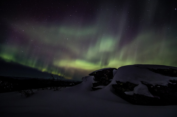 Polární (září Aurora Borealis) na Aljašce - Fotografie, Obrázek