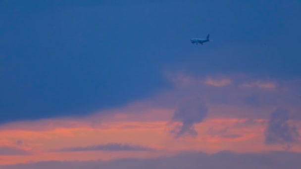 Αεροπλάνο πετούν στο ηλιοβασίλεμα πάνω από την πόλη - Πλάνα, βίντεο