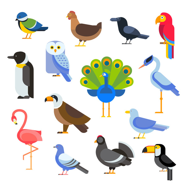 Birds vector set illustration. Egle, parrot, pigeon and toucan. Penguins, flamingos, crows, peacocks. Black grouse, chicken, sofa, heron - Vektör, Görsel