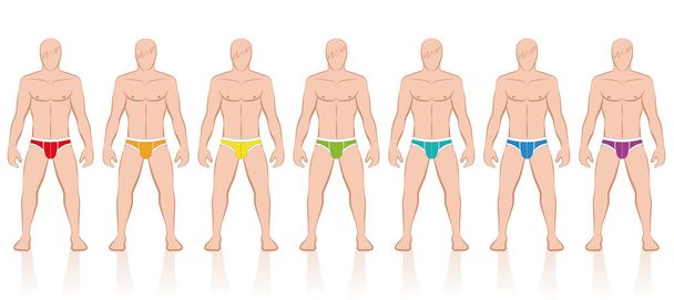 Briefs Colors Collection - Vector, Image