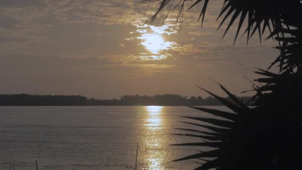 Stralende zonsopgang na te denken over de rivier en palm tree-silhouet op de voorgrond - Video