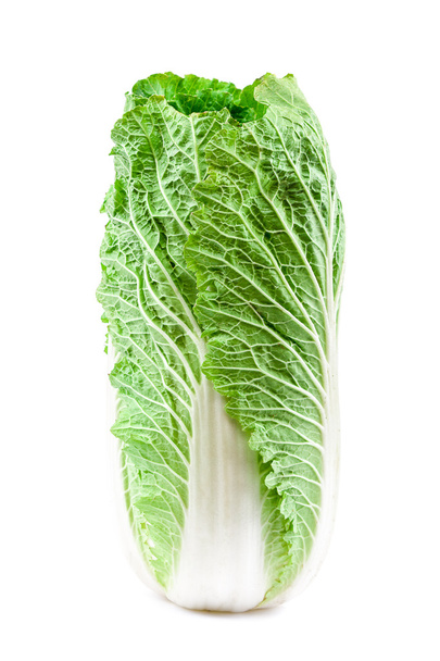 Chinese cabbage on a white background. - 写真・画像