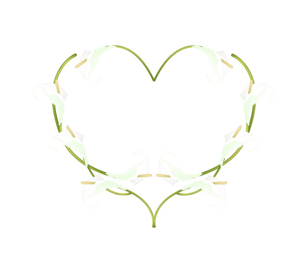 Beautiful White Anthurium Flowers in Heart Shape - ベクター画像