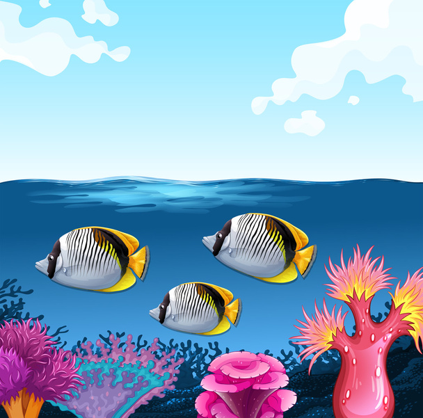 Τρία ψάρια βουτιές κάτω από τον ωκεανό - Διάνυσμα, εικόνα