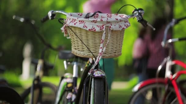 Font side of a bicycle with basket in summer evening. Pan vertical. - Footage, Video