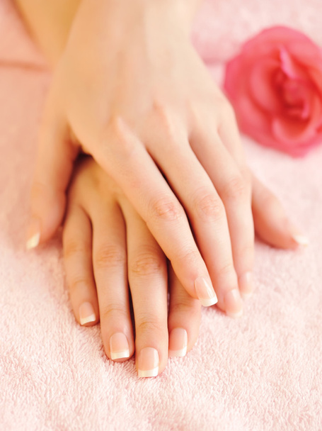 zbliżenie obrazu różowy Manicure francuski z różą - Zdjęcie, obraz