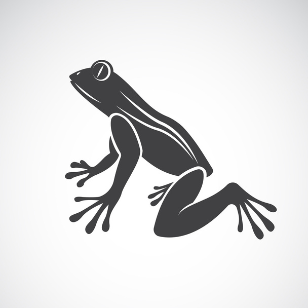 Imagen vectorial de un diseño de rana sobre fondo blanco - Vector, Imagen