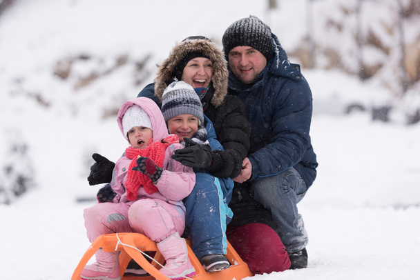 新鮮な雪のある風景でそりに座って冬の休暇に幸せな若い家族の肖像画 - 写真・画像