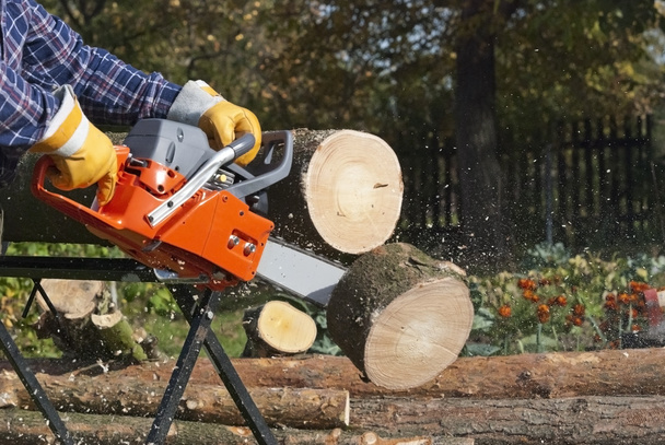 The chainsaw - Photo, Image
