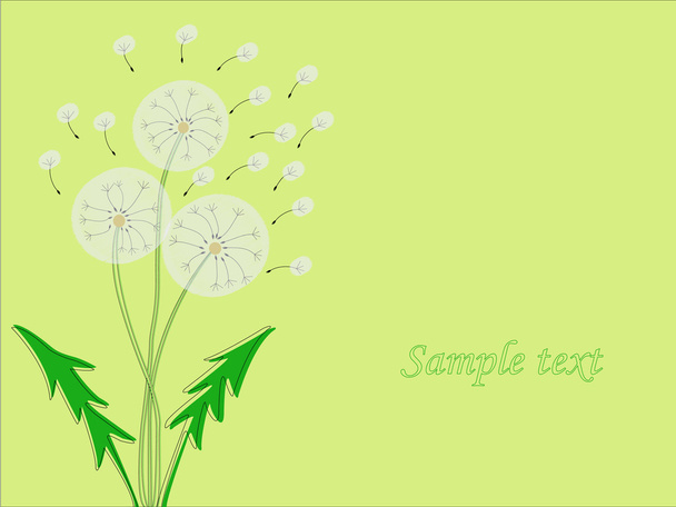 Design of flowers dandelion. - Vector, Image