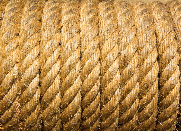 Texture of rope - Photo, Image