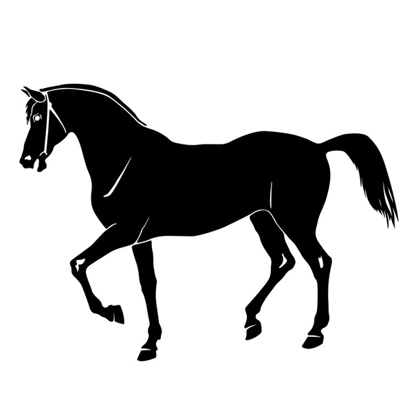 馬シルエット ブラック ホワイト - ベクター画像