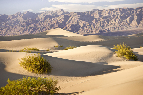 Death Valley Sandscape - Valokuva, kuva