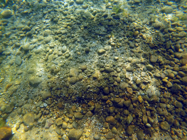 Hintergrund aus Felsen, Sand und Algen auf dem Grund eines Sees - Foto, Bild
