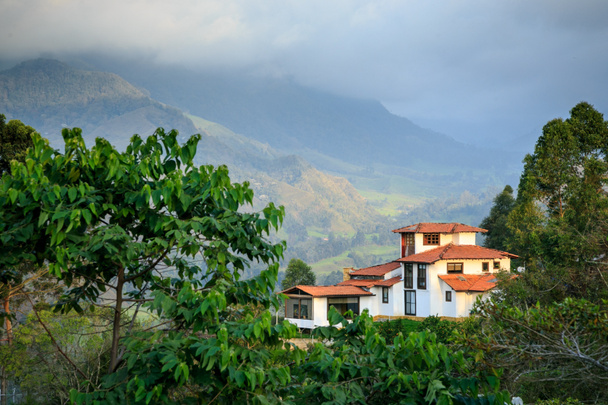een huis in de bergen, groene jungle in de bergen, colombia, Latijns-Amerika - Foto, afbeelding