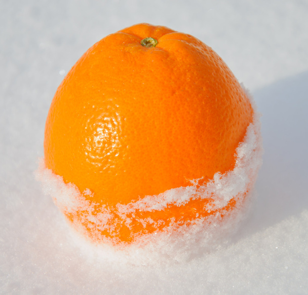 Citrus orange v bílém sněhu a světlem slunce - Fotografie, Obrázek