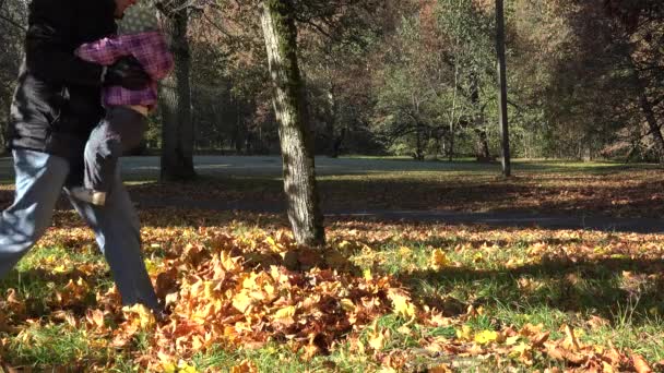 father covers baby with colorful leaves in autumn park. 4K - Footage, Video