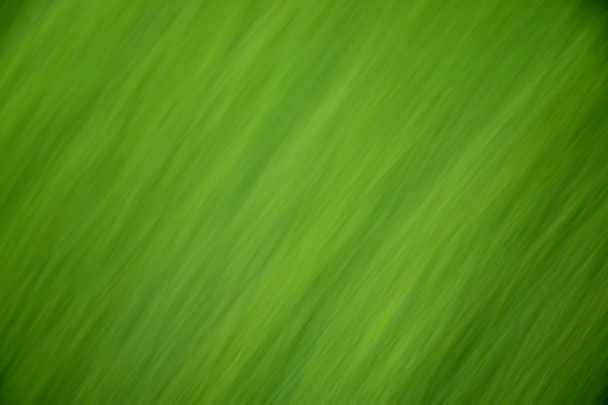 Vihreä abstrakti tausta - Valokuva, kuva