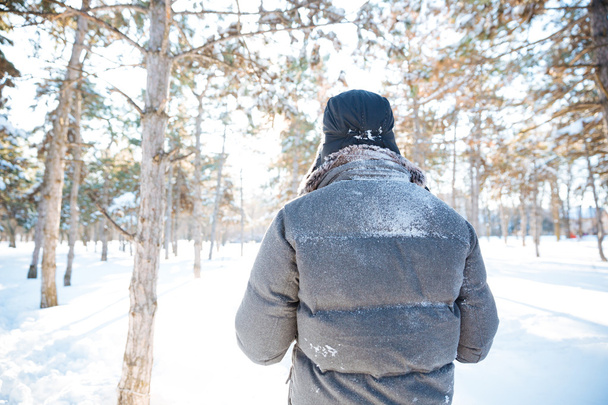 Back view of man walking in winter park - Photo, image